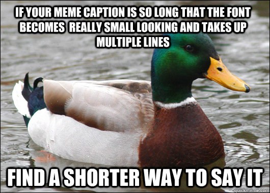 if your meme caption is so long that the font becomes  really small looking and takes up multiple lines Find a shorter way to say it  Actual Advice Mallard
