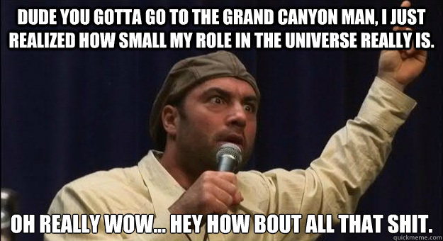 Dude you gotta go to the grand canyon man, I just realized how small my role in the universe really is. Oh really wow... Hey how bout all that shit.  Joe Rogan on Space