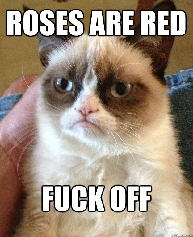 ROSES ARE RED FUCK OFF  Grumpy Cat