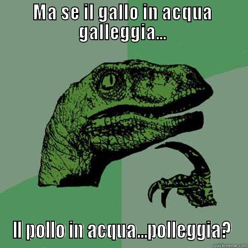 MA SE IL GALLO IN ACQUA GALLEGGIA... IL POLLO IN ACQUA...POLLEGGIA? Philosoraptor