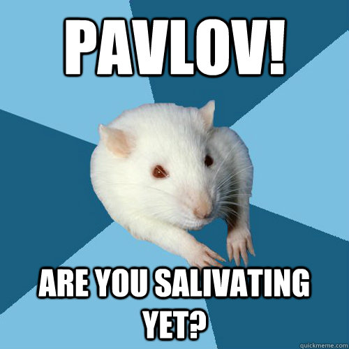 Pavlov! Are you salivating yet?  Psychology Major Rat