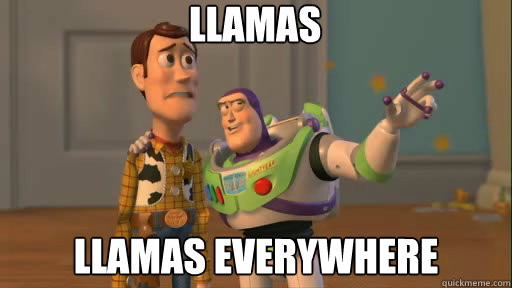 llamas llamas everywhere  Everywhere