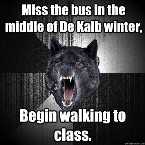Miss the bus in the middle of De Kalb winter, Begin walking to class.   Insanity Wolf