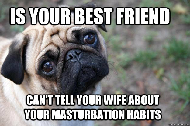 Is your best friend Can't tell your wife about your masturbation habits  First World Dog problems