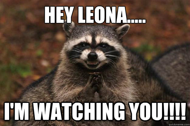Hey LEONA..... i'm watching you!!!!  Evil Plotting Raccoon