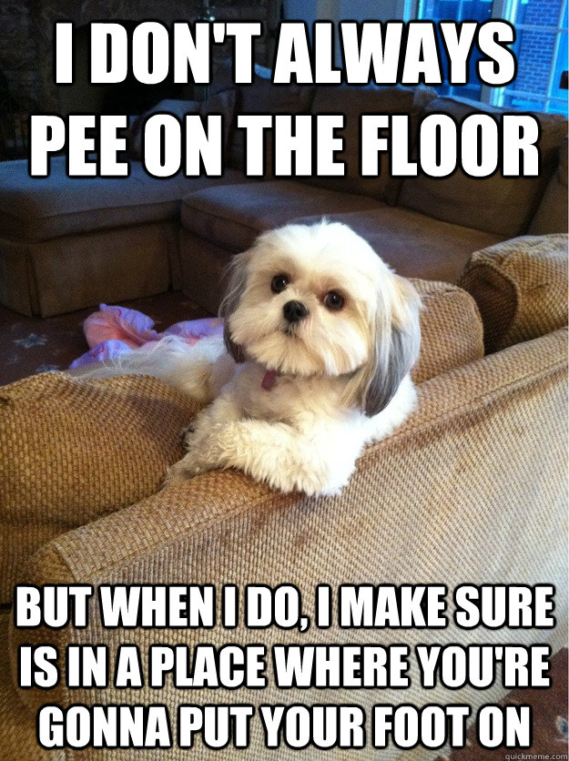 I don't always pee on the floor but when i do, i make sure is in a place where you're gonna put your foot on  