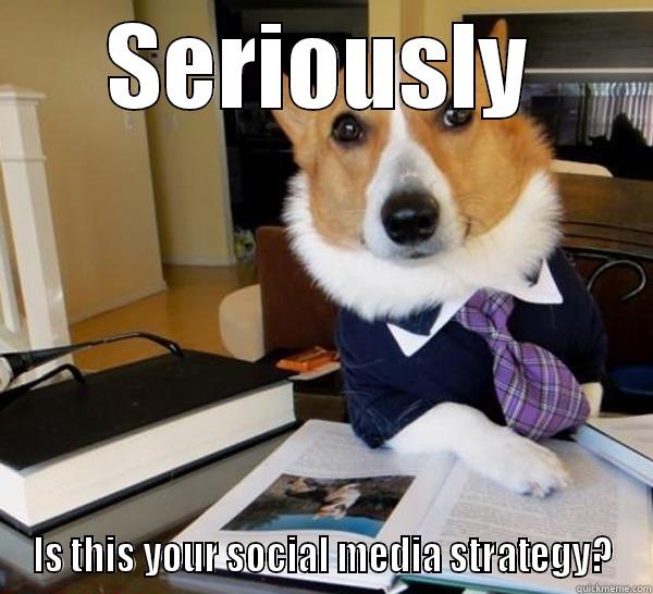 I'm serious - SERIOUSLY IS THIS YOUR SOCIAL MEDIA STRATEGY? Lawyer Dog