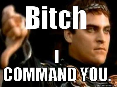 BITCH I COMMAND YOU. Downvoting Roman