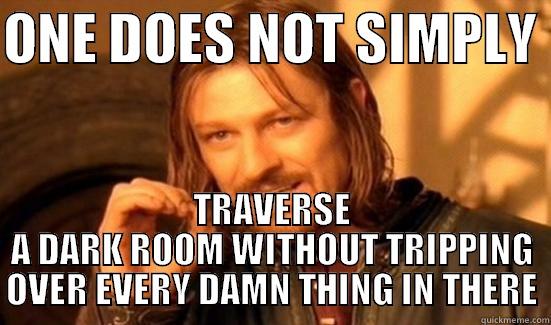 ONE DOES NOT SIMPLY  TRAVERSE A DARK ROOM WITHOUT TRIPPING OVER EVERY DAMN THING IN THERE Boromir