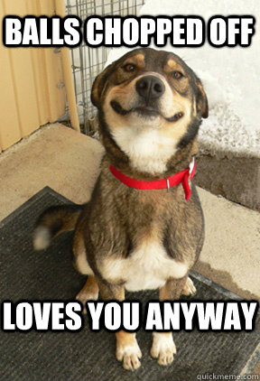 Balls chopped off loves you anyway - Balls chopped off loves you anyway  Good Dog Greg