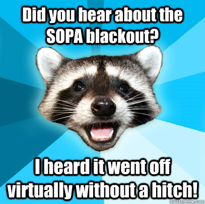 Did you hear about the SOPA blackout? I heard it went off virtually without a hitch!  Lame Pun Coon