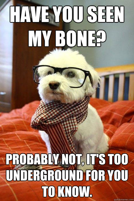 Have you seen my bone? Probably not, it's too underground for you to know.  Hipster Dog