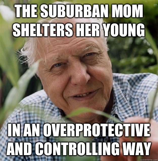 The suburban mom shelters her young In an overProtective and Controlling way - The suburban mom shelters her young In an overProtective and Controlling way  Urban Attenborough
