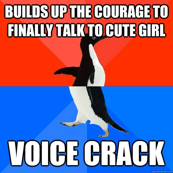 Builds up the courage to finally talk to cute girl voice crack  Socially Awesome Awkward Penguin