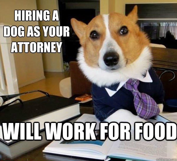 Hiring a dog as your attorney Will Work for Food  Lawyer Dog