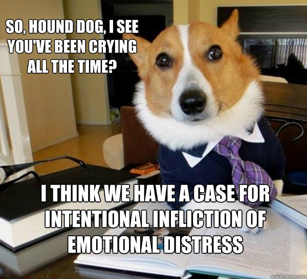 So, hound dog, I see you've been crying all the time? I think we have a case for intentional infliction of emotional distress - So, hound dog, I see you've been crying all the time? I think we have a case for intentional infliction of emotional distress  Lawyer Dog