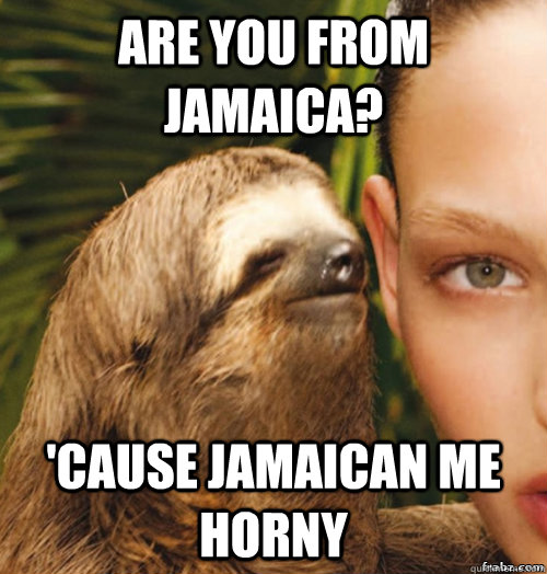 are you from Jamaica? 'Cause Jamaican me horny  rape sloth