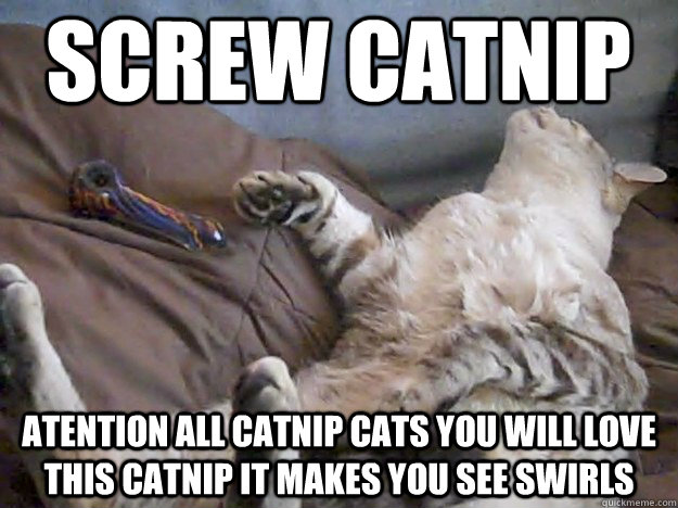 screw catnip atention all catnip cats you will love this catnip it makes you see swirls  