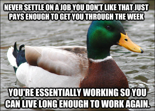 Never settle on a job you don't like that just pays enough to get you through the week You're essentially working so you can live long enough to work again.  Actual Advice Mallard