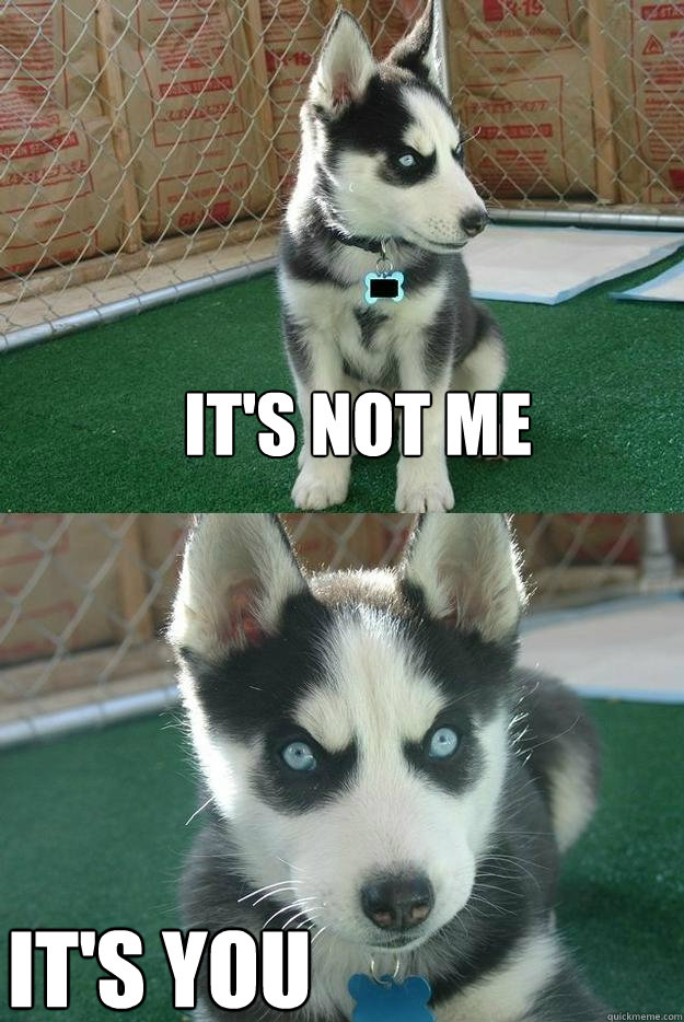 it's not me it's you  Insanity puppy
