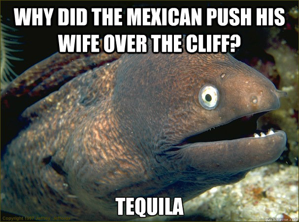 Why did the Mexican push his wife over the cliff? Tequila - Why did the Mexican push his wife over the cliff? Tequila  Bad Joke Eel