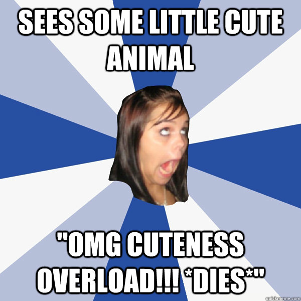 sees some little cute animal 