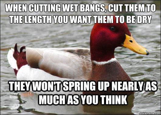 when cutting wet bangs, cut them to the length you want them to be dry
 they won't spring up nearly as much as you think  Malicious Advice Mallard