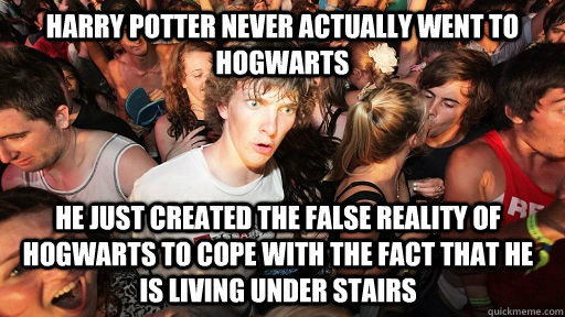 Harry Potter never actually went to hogwarts He just created the false reality of hogwarts to cope with the fact that he is living under stairs  Sudden Clarity Clarence