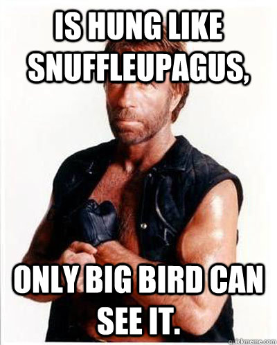 is hung like Snuffleupagus,  only Big Bird can see it.   Anti-Chuck Norris Facts
