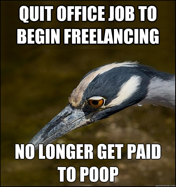 quit office job to begin freelancing No longer get paid 
to poop - quit office job to begin freelancing No longer get paid 
to poop  Sad Realization Heron