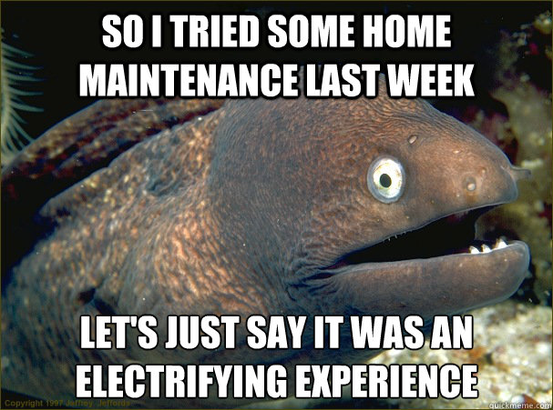 So I tried some home maintenance last week Let's just say it was an electrifying experience - So I tried some home maintenance last week Let's just say it was an electrifying experience  Bad Joke Eel