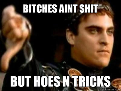 BITCHES AINT SHIT BUT HOES N TRICKS  Downvoting Roman