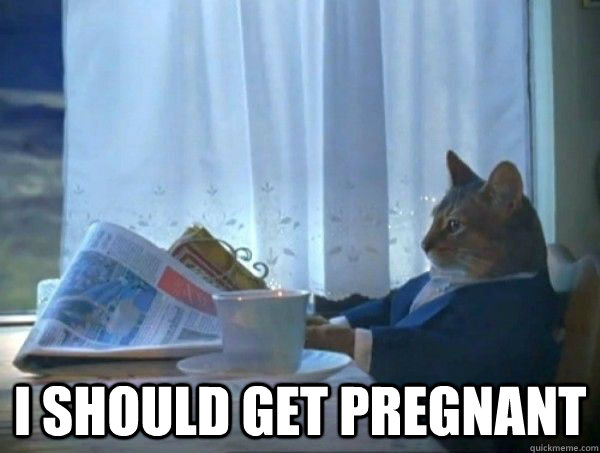  I should get pregnant  morning realization newspaper cat meme