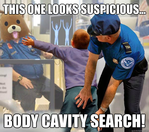 This one looks suspicious... body cavity search!  TSA Bear