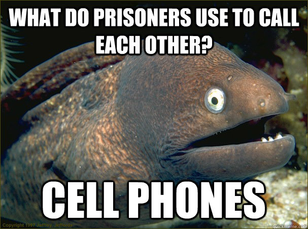 What do prisoners use to call each other? cell phones - What do prisoners use to call each other? cell phones  Bad Joke Eel