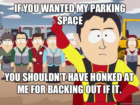 If you wanted my parking space you shouldn't have honked at me for backing out if it.  Captain Hindsight