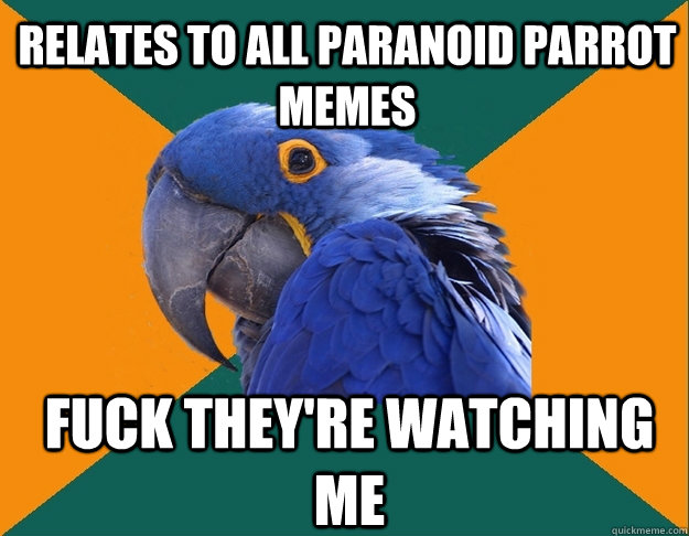 RELATES TO ALL PARANOID PARROT MEMES FUCK THEY'RE WATCHING ME  Paranoid Parrot