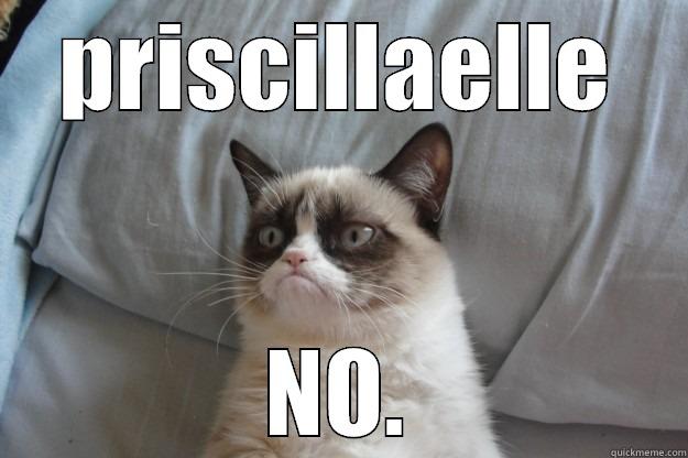 PRISCILLAELLE NO. Grumpy Cat