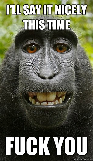 I'll say it nicely this time FUCK YOU  - I'll say it nicely this time FUCK YOU   Mindful Macaque