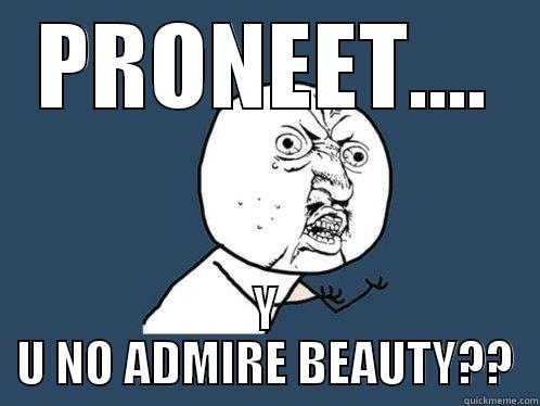 PRONEET.... Y U NO ADMIRE BEAUTY?? Y U No