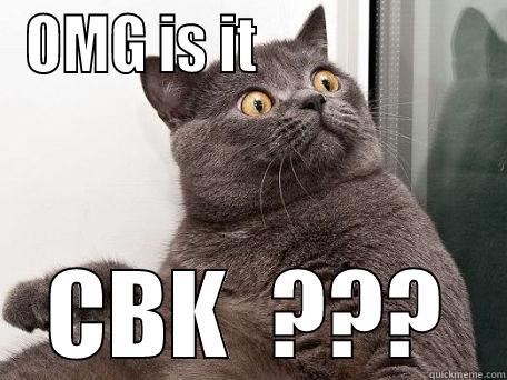 Who's at the door??? - OMG IS IT                    CBK  ??? conspiracy cat