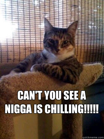 can't you see a nigga is chilling!!!!!   The Most Interesting Cat in the World