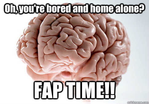 Oh, you're bored and home alone? FAP TIME!!   Scumbag Brain