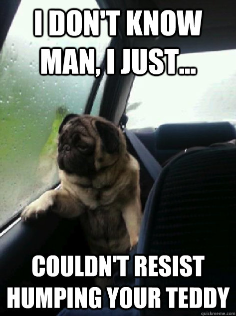 I don't know man, I just... couldn't resist humping your teddy  Introspective Pug