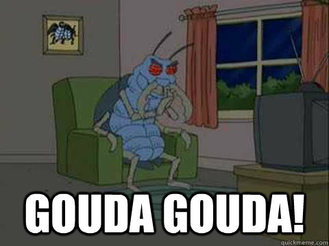  Gouda gouda! -  Gouda gouda!  Misunderstood Giant Cockroach