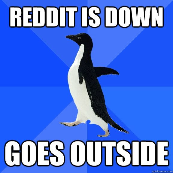 REDDIT IS DOWN GOES OUTSIDE  Socially Awkward Penguin