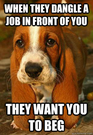 When they dangle a job in front of you They want you to beg  Unemployable Basset Hound Puppy