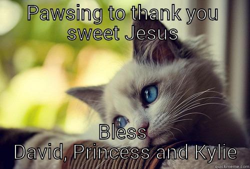 Gonna be a great aunt again!  - PAWSING TO THANK YOU SWEET JESUS BLESS  DAVID, PRINCESS AND KYLIE First World Problems Cat