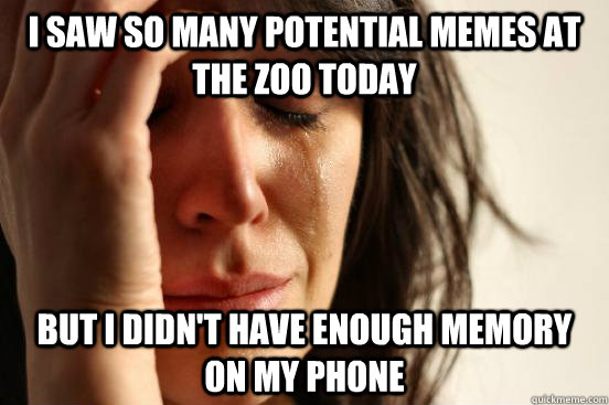 I saw so many potential memes at the zoo today But i didn't have enough memory on my phone  First World Problems