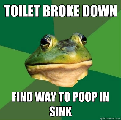 Toilet broke down Find way to poop in sink  Foul Bachelor Frog